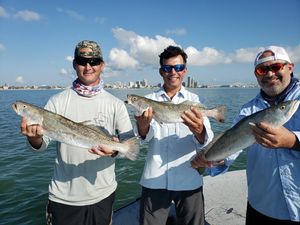 Fishing for Sea Trout  in Texas