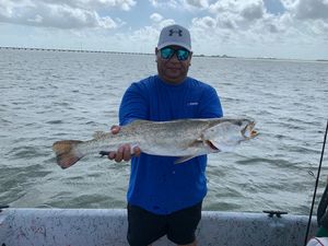 Best Sea Trout Fishing  in Rockport, TX