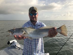 Sea Trout, Rockport Fishing Guide