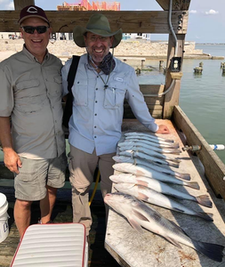 Port Aransas Fishing Report 
