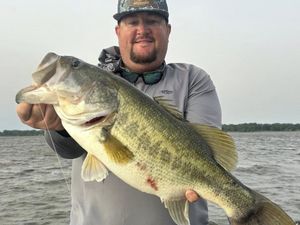Prime Bass Fishing Conditions and Hot Spots at Lake Fork This June