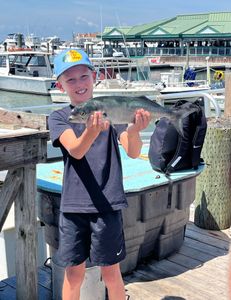 4hr inshore trolling limited out 