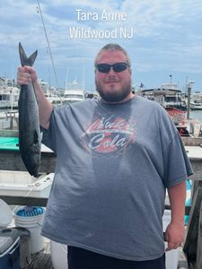 Solid Bluefish Action and Reef Fishing in Wildwood