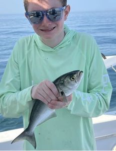 Trolling and bottom fishing