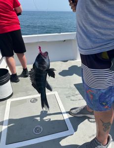 Trolling and bottom fishing