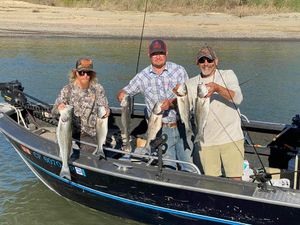 Nor Cal Fish Hounds: Striper Season is Here