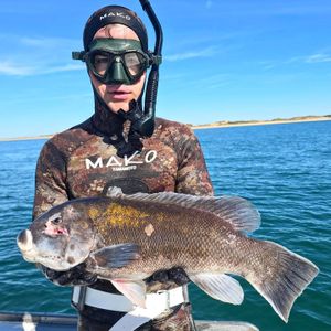 Solid dive trip results despite tough conditions