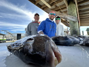 Thrilling Sheepshead and Catfish Takeover on Gulf Shores Charter