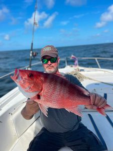 Target sharks, cobia, Spanish mackerel, and more while waiting for red snapper season to reopen in September
