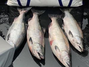 Oregon Coast Fishing for Salmon