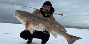 Family-Friendly Galveston Fishing Trips