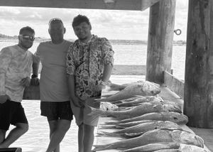 Recent Action in the Barataria Basin with Captain Austin Phillips