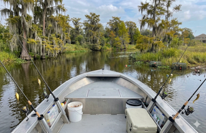 Louisiana Fishing Licenses: A Simple Guide for Your Lafitte Trip
