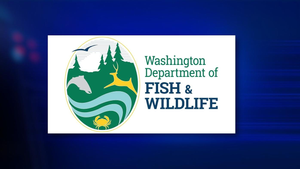 Washington Fishing License