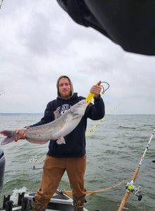 Heavy Striper Action on Lake Whitney