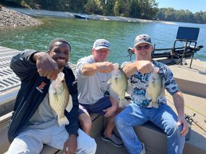 Lake Lanier Minnow Fishing