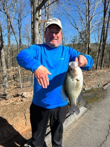Congrats on a Huge 2 lb. 10 oz. Lake Lanier Crappie! 🎣🐟
