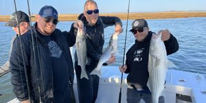 Brigantine Bay Fishing Report