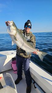 Fast bass action with Greg and Ron on the ocean