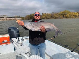 Giant Blue Catfish in Texas