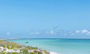 Top Things to Do in Panama City Beach
