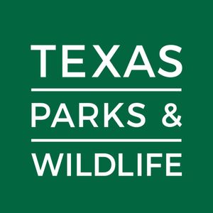 Texas Fishing License Information for Travelers and Anglers