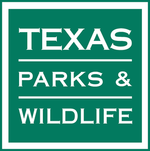 Get Your Valid Texas Fishing License 