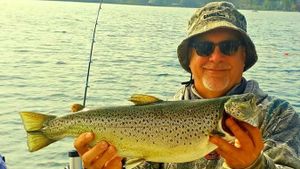 Brown Trout in Lake Ontario