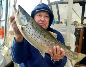 Brown Trout Fishing in Lake Ontario