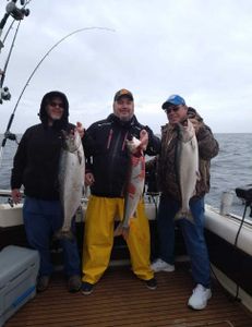 Browns  Coho,  lakers 