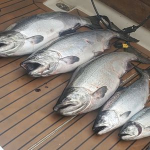 Salmon Fishing NY 2022