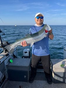 Morning limit catch with a 15lb rainbow trout