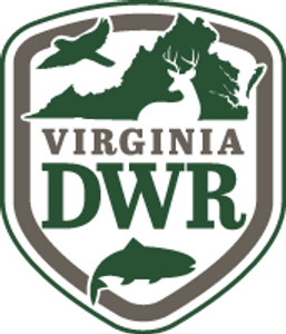 Virginia Fishing License Information for Travelers and Anglers