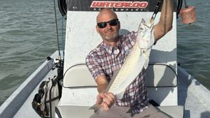 Speckled Trout Are Biting and Oversized Redfish Are Cruising the Laguna Madre