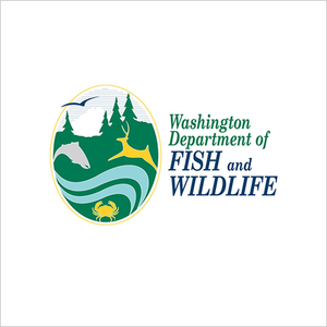 Washington Fishing License
