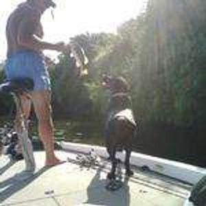 Dogs Fish Too!