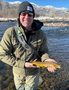 Middle Provo Fishing Report 