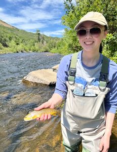Middle Provo Fishing Report