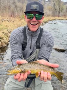 Healthy Spring Trout Bites on the River