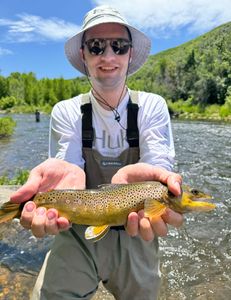 Fly Fishing Report Middle Provo 6/14/25