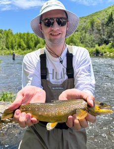 "Provo River Fly Fishing Adventure: A Day of Trout, Scenery, and Excitement"