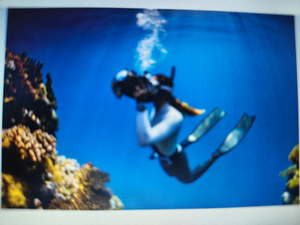 Florida City Fall Fishing: Open Water Diver Trip Success Story