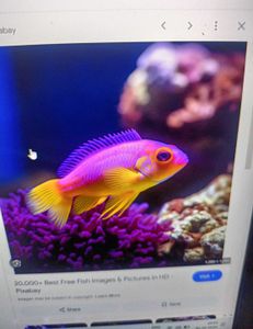 "Unleashing the River's Secrets: Thenna sss' Unforgettable Fishing Adventure with Thenna