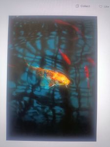 Casting Off on an Aquatic Adventure with Thenna DF