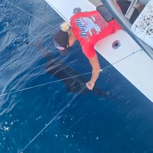 Thrilling Offshore Adventure: Chasing Big Game in Islamorada