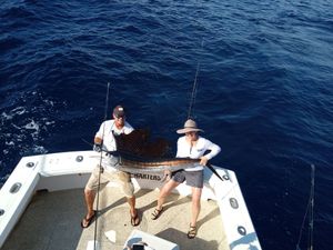 Florida Keys Fishing for Sailfish