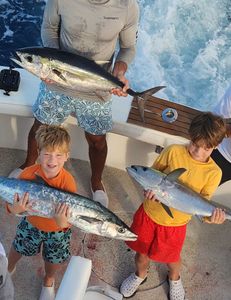 Winter live bait fishing