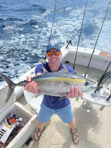 Yellowfin Tuna Fishing in Florida