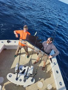 Islamorada Fishing Report | November Fishing