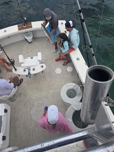 Islamorada Offshore Trip: Great Barracuda on Mixed Techniques